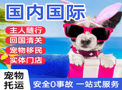阿尔山伊尔施空运国际宠物托运 【国